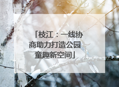 枝江：一线协商助力打造公园童趣新空间