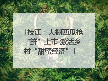枝江：大棚西瓜抢“鲜”上市 激活乡村“甜蜜经济”