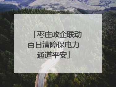 枣庄政企联动百日清障保电力通道平安