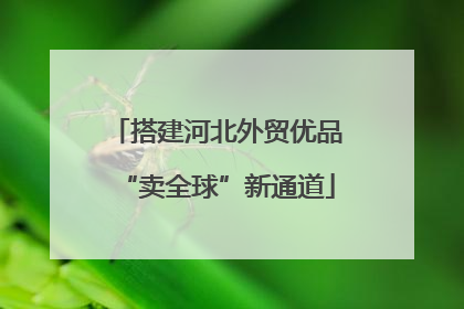 搭建河北外贸优品“卖全球”新通道
