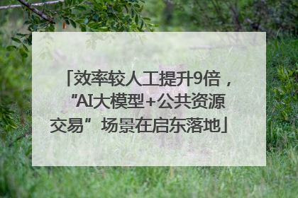 效率较人工提升9倍，“AI大模型+公共资源交易”场景在启东落地