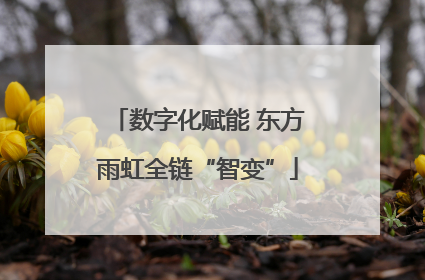 数字化赋能 东方雨虹全链“智变”