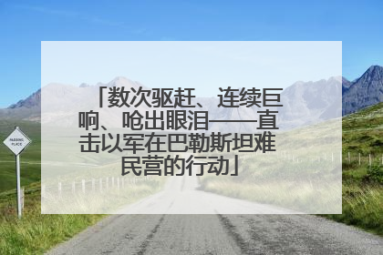 数次驱赶、连续巨响、呛出眼泪——直击以军在巴勒斯坦难民营的行动