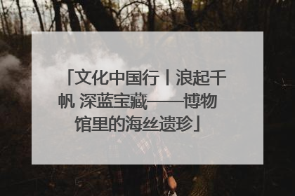 文化中国行丨浪起千帆 深蓝宝藏——博物馆里的海丝遗珍