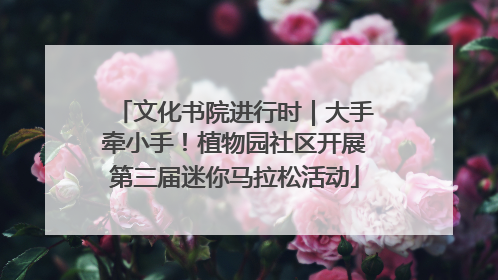 文化书院进行时｜大手牵小手！植物园社区开展第三届迷你马拉松活动