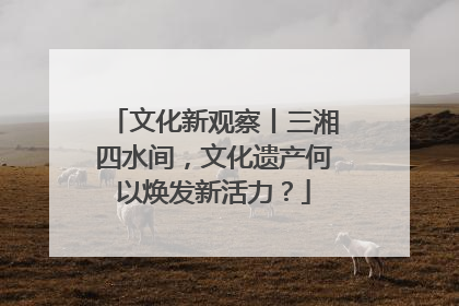 文化新观察丨三湘四水间，文化遗产何以焕发新活力？