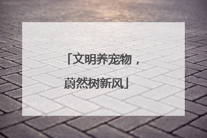 文明养宠物，蔚然树新风