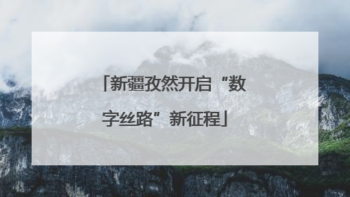 新疆孜然开启“数字丝路”新征程