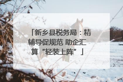 新乡县税务局：精辅导促规范 助企汇算“轻装上阵”