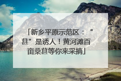 新乡平原示范区：“葚”是诱人！黄河滩百亩桑葚等你来采摘