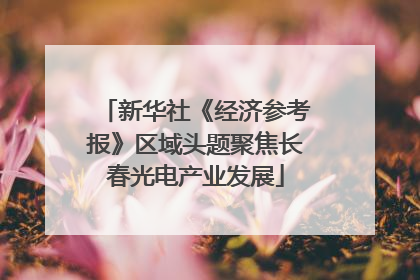 新华社《经济参考报》区域头题聚焦长春光电产业发展