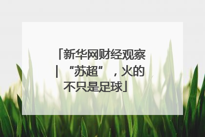 新华网财经观察｜“苏超”，火的不只是足球