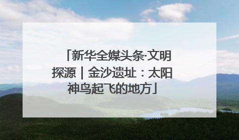 新华全媒头条·文明探源｜金沙遗址：太阳神鸟起飞的地方