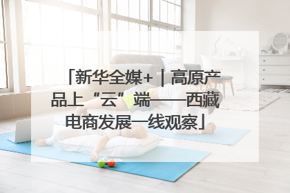 新华全媒+｜高原产品上“云”端——西藏电商发展一线观察