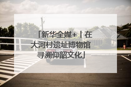新华全媒+丨在大河村遗址博物馆寻溯仰韶文化