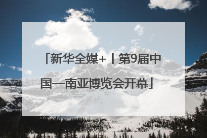 新华全媒+丨第9届中国—南亚博览会开幕