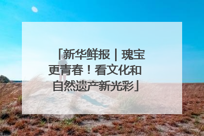 新华鲜报｜瑰宝更青春！看文化和自然遗产新光彩