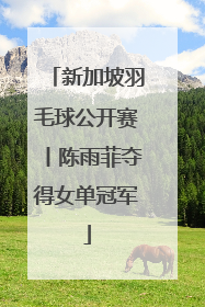 新加坡羽毛球公开赛丨陈雨菲夺得女单冠军