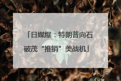 日媒爆：特朗普向石破茂“推销”美战机