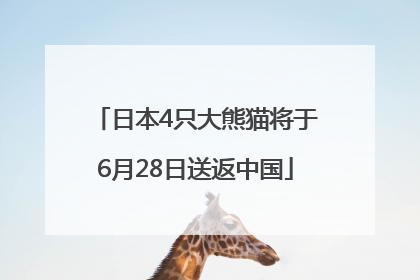 日本4只大熊猫将于6月28日送返中国