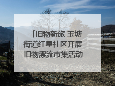 旧物新旅 玉塘街道红星社区开展旧物漂流市集活动   