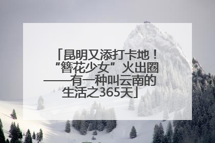 昆明又添打卡地！“簪花少女”火出圈——有一种叫云南的生活之365天