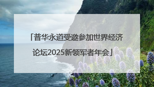 普华永道受邀参加世界经济论坛2025新领军者年会