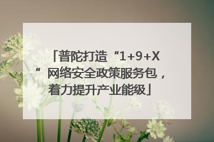 普陀打造“1+9+X”网络安全政策服务包，着力提升产业能级