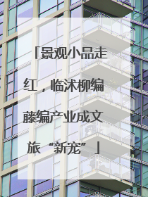 景观小品走红，临沭柳编藤编产业成文旅“新宠”