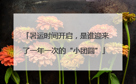暑运时间开启，是谁迎来了一年一次的“小团圆”