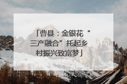 曹县：金银花“三产融合”托起乡村振兴致富梦