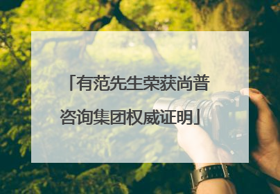 有范先生荣获尚普咨询集团权威证明