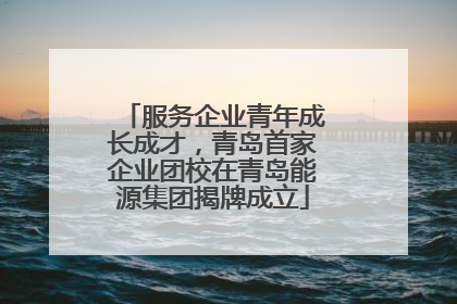 服务企业青年成长成才，青岛首家企业团校在青岛能源集团揭牌成立