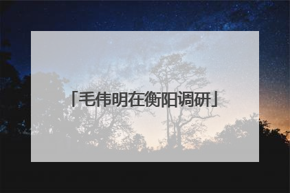 毛伟明在衡阳调研