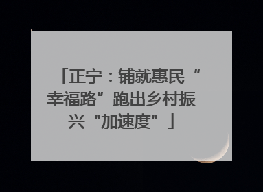 正宁：铺就惠民“幸福路”跑出乡村振兴“加速度”