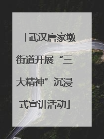 武汉唐家墩街道开展“三大精神”沉浸式宣讲活动