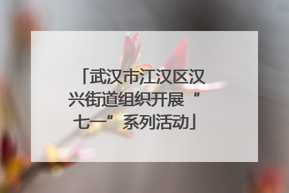 武汉市江汉区汉兴街道组织开展“七一”系列活动
