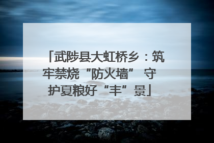 武陟县大虹桥乡：筑牢禁烧“防火墙” 守护夏粮好“丰”景