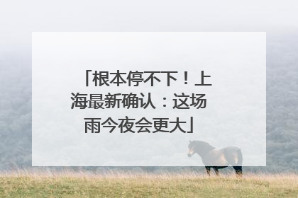 根本停不下！上海最新确认：这场雨今夜会更大