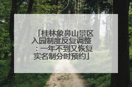 桂林象鼻山景区入园制度反复调整：一年不到又恢复实名制分时预约