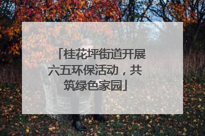 桂花坪街道开展六五环保活动，共筑绿色家园