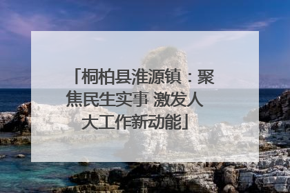 桐柏县淮源镇：聚焦民生实事 激发人大工作新动能