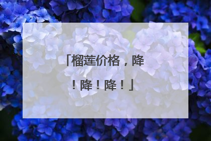 榴莲价格，降！降！降！