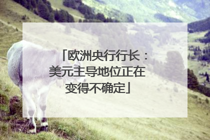 欧洲央行行长：美元主导地位正在变得不确定
