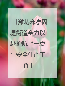 潍坊寒亭固堤街道全力以赴护航“三夏”安全生产工作