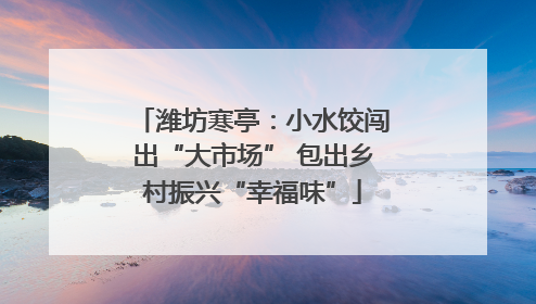 潍坊寒亭：小水饺闯出“大市场” 包出乡村振兴“幸福味”