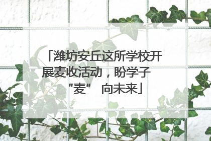 潍坊安丘这所学校开展麦收活动，盼学子 “麦” 向未来