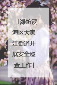 潍坊滨海区大家洼街道开展安全巡查工作