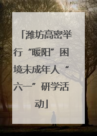 潍坊高密举行“暖阳”困境未成年人“六一”研学活动