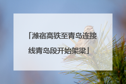 潍宿高铁至青岛连接线青岛段开始架梁